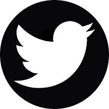 X (Twitter)